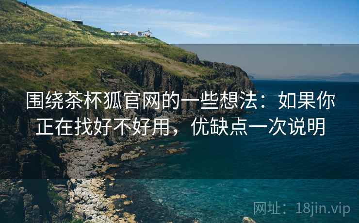围绕茶杯狐官网的一些想法：如果你正在找好不好用，优缺点一次说明