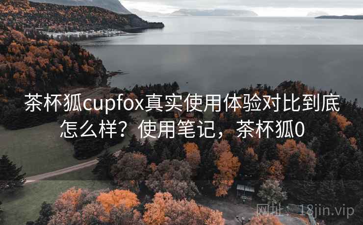 茶杯狐cupfox真实使用体验对比到底怎么样？使用笔记，茶杯狐0