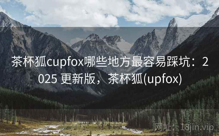 茶杯狐cupfox哪些地方最容易踩坑：2025 更新版，茶杯狐(upfox)