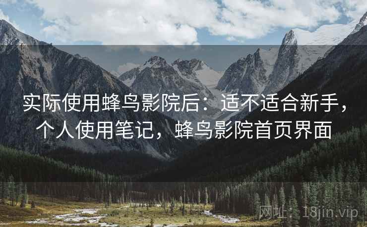 实际使用蜂鸟影院后：适不适合新手，个人使用笔记，蜂鸟影院首页界面