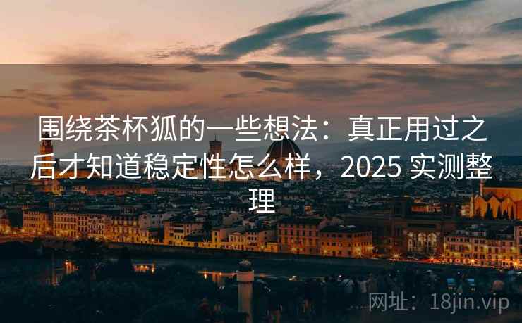 围绕茶杯狐的一些想法：真正用过之后才知道稳定性怎么样，2025 实测整理