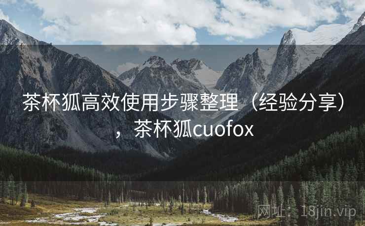 茶杯狐高效使用步骤整理（经验分享），茶杯狐cuofox
